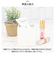 【当商品送料無料】小物入れ 陶器 洗面 通販 コットンボックス 綿棒入れ 収納ボックス 小物 収納 小物ケース 容器 コットンケース 歯ブラシ