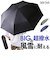 【当商品送料無料】ウォーターフロント 折りたたみ傘 通販 メンズ 折り畳み傘 傘 折りたたみ かさ 折り畳み 超撥水 はっ水 耐風 大きい 大きめ