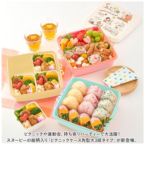 当商品送料無料】重箱 3段 通販 ピクニック ケース ファミリー ランチ