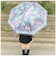 【当商品送料無料】ビニール傘 子供 通販 傘 子供用 45cm スケーター ubv45 SKATER 雨傘 長傘 かさ カサ 男の子 女の子 キッズ