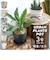 【当商品送料無料】植木鉢 プラスチック お洒落 3号 通販 プランター おしゃれ 植木 鉢 ポット 花鉢 3号鉢 プラスチック製鉢 かわいい 可愛い