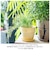 【当商品送料無料】植木鉢 プラスチック お洒落 3号 通販 プランター おしゃれ 植木 鉢 ポット 花鉢 3号鉢 プラスチック製鉢 かわいい 可愛い