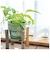 【当商品送料無料】植木鉢 プラスチック お洒落 3号 通販 プランター おしゃれ 植木 鉢 ポット 花鉢 3号鉢 プラスチック製鉢 かわいい 可愛い