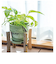 【当商品送料無料】植木鉢 プラスチック お洒落 3号 通販 プランター おしゃれ 植木 鉢 ポット 花鉢 3号鉢 プラスチック製鉢 かわいい 可愛い