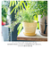 【当商品送料無料】植木鉢 プラスチック お洒落 4号 通販 プランター おしゃれ 植木 鉢 ポット 花鉢 4号鉢 プラスチック製鉢 かわいい 可愛い