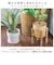 【当商品送料無料】植木鉢 プラスチック お洒落 4号 通販 プランター おしゃれ 植木 鉢 ポット 花鉢 4号鉢 プラスチック製鉢 かわいい 可愛い