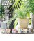 【当商品送料無料】植木鉢 プラスチック お洒落 5号 通販 プランター おしゃれ 植木 鉢 ポット 花鉢 5号鉢 プラスチック製鉢 かわいい 可愛い