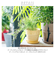 【当商品送料無料】植木鉢 プラスチック お洒落 5号 通販 プランター おしゃれ 植木 鉢 ポット 花鉢 5号鉢 プラスチック製鉢 かわいい 可愛い