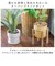 【当商品送料無料】植木鉢 プラスチック お洒落 5号 通販 プランター おしゃれ 植木 鉢 ポット 花鉢 5号鉢 プラスチック製鉢 かわいい 可愛い