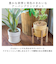 【当商品送料無料】植木鉢 プラスチック お洒落 5号 通販 プランター おしゃれ 植木 鉢 ポット 花鉢 5号鉢 プラスチック製鉢 かわいい 可愛い