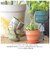 【当商品送料無料】植木鉢 プラスチック お洒落 5号 通販 プランター おしゃれ 植木 鉢 ポット 花鉢 5号鉢 プラスチック製鉢 かわいい 可愛い
