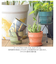【当商品送料無料】植木鉢 プラスチック お洒落 5号 通販 プランター おしゃれ 植木 鉢 ポット 花鉢 5号鉢 プラスチック製鉢 かわいい 可愛い