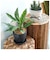 【当商品送料無料】植木鉢 プラスチック お洒落 5号 通販 プランター おしゃれ 植木 鉢 ポット 花鉢 5号鉢 プラスチック製鉢 かわいい 可愛い