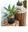 【当商品送料無料】植木鉢 プラスチック お洒落 5号 通販 プランター おしゃれ 植木 鉢 ポット 花鉢 5号鉢 プラスチック製鉢 かわいい 可愛い