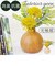 【当商品送料無料】光触媒 造花 通販 フェイクグリーン イミテーション 消臭 抗菌 花 フラワー 木目柄 陶器 ラウンドポット 一輪挿し 花瓶