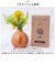 【当商品送料無料】光触媒 造花 通販 フェイクグリーン イミテーション 消臭 抗菌 花 フラワー 木目柄 陶器 ラウンドポット 一輪挿し 花瓶