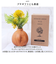 【当商品送料無料】光触媒 造花 通販 フェイクグリーン イミテーション 消臭 抗菌 花 フラワー 木目柄 陶器 ラウンドポット 一輪挿し 花瓶
