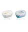【当商品送料無料】スケーター 弁当箱 XPM4 通販 ランチボックス 1段 お弁当箱 一段 550ml 一段弁当箱 女子 子供 子ども