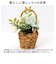 【当商品送料無料】バスケット グリーンバスケット 通販 カゴ 籠 プランター 寄せ植え 小物収納 グリーン 植物 丸い ラウンド ワンハンドル