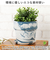 【当商品送料無料】植木鉢 プラスチック おしゃれ 5号 通販 鉢カバー 5号鉢 プランター プランターカバー 植木 ポット 鉢植え