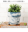 【当商品送料無料】植木鉢 プラスチック おしゃれ 5号 通販 鉢カバー 5号鉢 プランター プランターカバー 植木 ポット 鉢植え