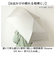 【当商品送料無料】Amane Air+ アマネ エアー 折りたたみ傘 50cm 通販 折り畳み傘 おりたたみ傘 雨傘 傘 かさ カサ 折り畳み