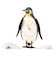 【当商品送料無料】立体パズル 木製 時計 通販 アニマル クロックパズル パズルクロック 置き時計 おしゃれ アナログ 手作りキット 時計キット