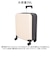 【当商品送料無料】スーツケース 機内持ち込み 拡張 楽天 40L スーツ ケース キャリーバッグ キャリーケース 軽い 丈夫 TSダイヤルロック