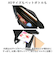 【当商品送料無料】アネログランデ 2way 通販 anello GRANDE GTM0761 リュック ショルダーバッグ リュックサック デイパック