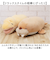 【当商品送料無料】ねむねむ 抱き枕 プレミアム S 通販 抱きまくら ぬいぐるみ クール抱きまくら Sサイズ ひんやり 冷感 動物 アニマル ピロー