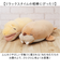 【当商品送料無料】ねむねむ 抱き枕 プレミアム S 通販 抱きまくら ぬいぐるみ クール抱きまくら Sサイズ ひんやり 冷感 動物 アニマル ピロー