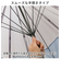 【当商品送料無料】長傘 12本骨 クリア 60cm 通販 雨傘 アンブレラ ビニール傘 軽量 軽い 透明 ポリエステル ゼロアンド -0＆