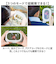【当商品送料無料】レイメイ藤井 拡大鏡 ルーペ 通販 スコープ 水陸両用拡大鏡 水陸両用ルーペ ルーペスコープ 水陸両用 虫かごスコープ