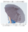 【当商品送料無料】mabu 傘 江戸 通販 マブ 長傘 16本骨 SMV-4193 雨傘 晴雨兼用 JOTARO SAITO 日傘 晴雨兼用傘 かさ