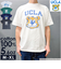 【当商品送料無料】UCLA YALE HAWAII Michigan Tシャツ 通販 半袖Tシャツ カットソー 半袖tシャツ tシャツ 半袖シャツ