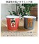 【当商品送料無料】マグカップ キャラクター かわいい 猫 通販 マグ カップ コップ コーヒーカップ ティーカップ スープカップ 食器 持ち手付き