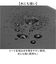 【当商品送料無料】chiaro キアーロ 自転車 サドル おしりが痛くならない GR6177 特大 通販 自転車サドル クッション ワイド