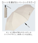 【当商品送料無料】KIZAWA 折りたたみ傘 形状安定 通販 折り畳み傘 自動開閉 自動開閉傘 大きめ 直径 120cm たたみやすい メンズ