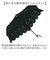 【当商品送料無料】ビコーズ 日傘 折りたたみ 通販 because 傘 B-094380 折りたたみ傘 折り畳み傘 折り畳み おしゃれ UVカット
