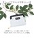 【当商品送料無料】EASTBOY イーストボーイ 二つ折り eb-30163 通販 二つ折り財布 財布 お財布 2つ折り財布 おさいふ ウォレット