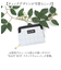 【当商品送料無料】EASTBOY イーストボーイ 二つ折り eb-30163 通販 二つ折り財布 財布 お財布 2つ折り財布 おさいふ ウォレット