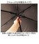 【当商品送料無料】傘 メンズ 折りたたみ傘 通販 晴雨兼用傘 ブランド GERRY 55cm 日傘 折り畳み傘 おしゃれ かさ カサ uvカット