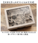 【当商品送料無料】茶谷産業 ジュエリーボックス キャラクター 二段 通販 アクセサリーケース ジュエリーケース アクセサリー 収納 ジュエリー収納