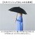 【当商品送料無料】長傘 通販 60cm 傘 雨傘 かさ 男女兼用 ビニール傘 丈夫 オールプラスチック 梅雨 雨 婦人傘 モノトーン ビニール生地