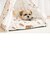 【当商品送料無料】犬 猫 ハウス おしゃれ 室内 楽天 キャットハウス ドッグハウス ティピーテント ペットハウス アンファンス EF-PT04