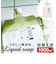 【当商品送料無料】無添加 石鹸 液体 詰め替え 通販 台所用せっけん 液体石鹸 液体石けん 液体せっけん 台所用石鹸 台所用石けん キッチン用洗剤
