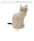 【当商品送料無料】ルートート ROOTOTE バッグ 1117 通販 ポーチ レディース 大きめ ねこ 猫 ブランド 小物入れ ペンケース