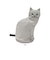 【当商品送料無料】ルートート ROOTOTE バッグ 1117 通販 ポーチ レディース 大きめ ねこ 猫 ブランド 小物入れ ペンケース