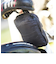 【当商品送料無料】サイクルカバー 自転車 カバー 通販 自転車カバー 自転車用 収納ポーチ 収納ケース レジャーシート 小物入れ サイクル