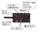【当商品送料無料】財布 レディース 二つ折り かわいい 通販 サン宝石 二つ折り財布 2つ折り財布 折りたたみ財布 折り財布 ウォレット お財布